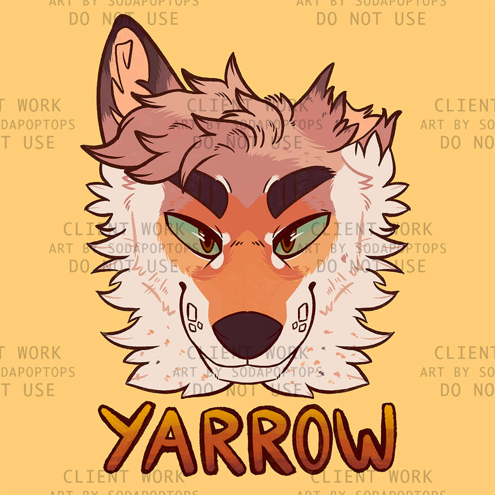 Yarrow Yarrow